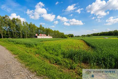 działka budowlana Bodzanów 610m2 przy lesie