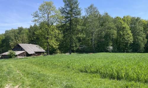 Siedlisko na polanie, pod stadninę lub agroturystykę, 30 min