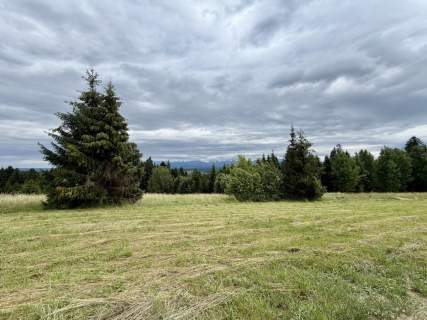 Widok na Tatry/ MPZP/Budowlana/Nasłoneczniona/Las