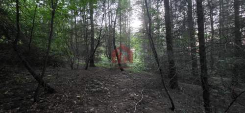 Las 85ar przy stoku narciarski, pomysł na glamping