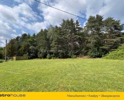 Działka budowlana 1056 m przy lesie - Ujejsce