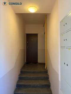 Kawalerka przy Galerii Kazimierz Od zaraz