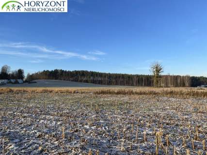 Bojano - trzy działki do wyboru