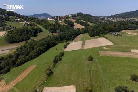 Prywatny las 3331 m2 - Twoja przestrzeń w naturze
