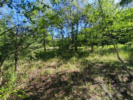 Przestrzeń, luz i natura - wyjątkowa działka w Pyskowicach D
