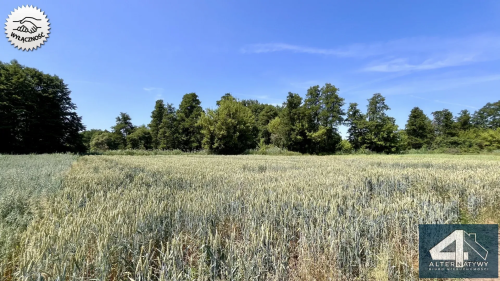 Działka budowlana 2500 m2