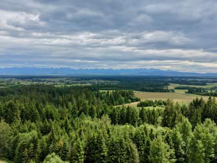 Widok na Tatry/ MPZP/Budowlana/Nasłoneczniona/Las