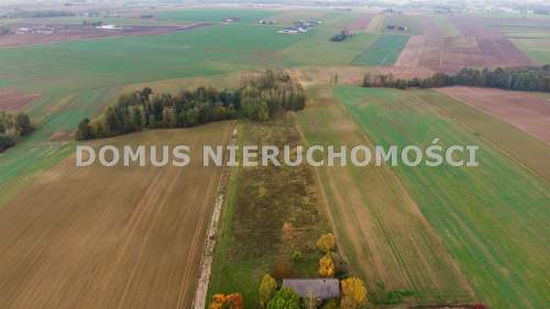 DZIAŁKA na Wzniesieniach Łódzkich