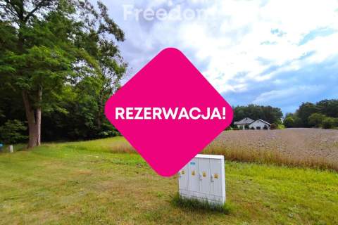 Działka budowlana z własnym lasem 5804 m Hola