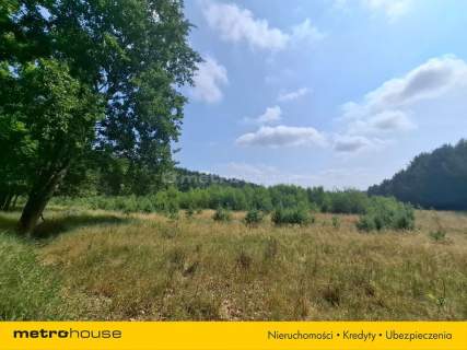 Działka 2,8ha w Dolinie Baryczy Wilkowo