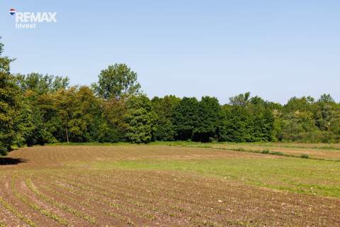 Grojec, Czajki 10 arów budowlana