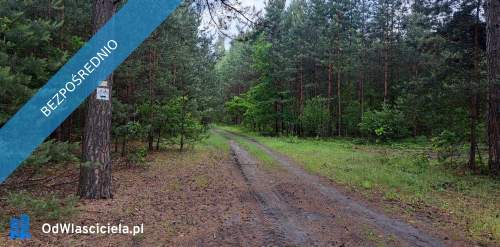 Sprzedam siedlisko 4000 m2 Cisza i spokój, dojazd z Warszawy...