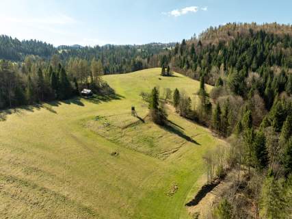 Działka widokowa Szlachtowa ok. 4395 m