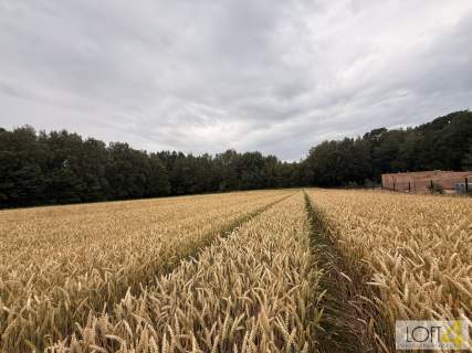 Duża działka z WZ - wiele możliwości