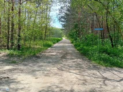 Widokowa działka otoczona lasem