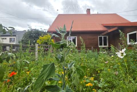 Okazja Skorupy klimatyczny dom z ogrodem 525 tys.
