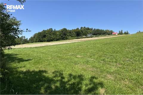 Prywatny las 3331 m2 - Twoja przestrzeń w naturze