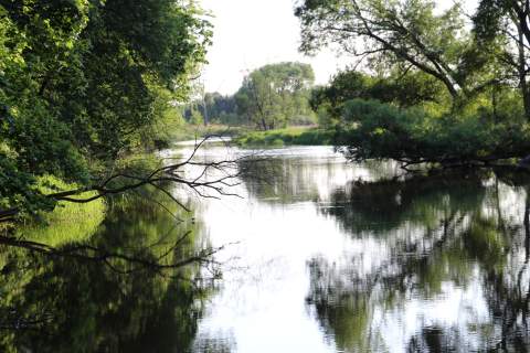 Wyjątkowa działka z własnym dostępem do rzeki Liswarty