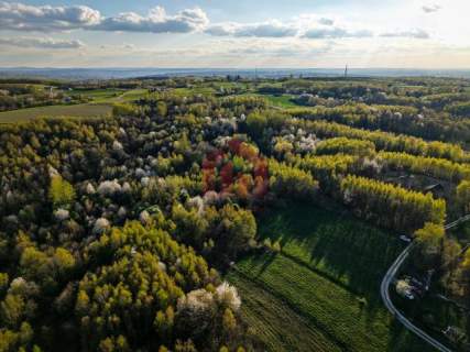 3,33 ha z lasem i strumykiem - teren pod zabudowę