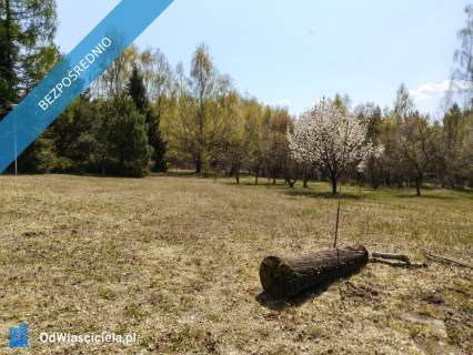 piekna dzialka pod budowe wymarzonego domu