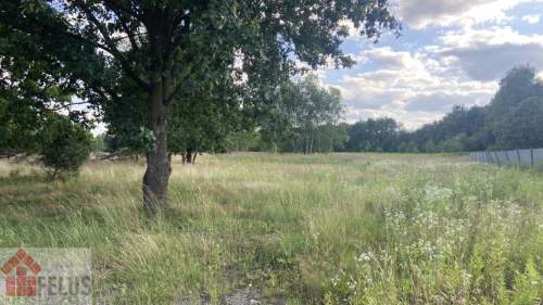 Działka pod zabudowę zagrodową pod lasem w Przegini Narodowej