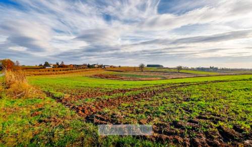 Widokowa działka 54ar w Maszkach - Panorama na wschody słońca...
