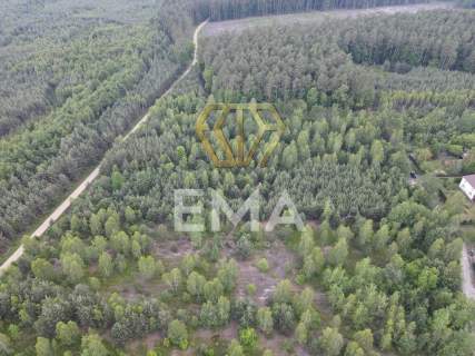 Działka leśna 4464 m Herby MPZP