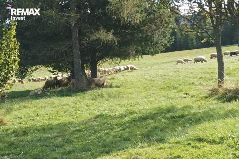 Górska enklawa 2,5 ha wolności