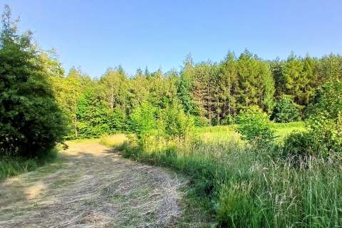 Siedlisko Pisarzowa prawie 5 ha