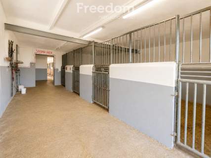 Siedlisko w możliwością prowadzenia biznesu