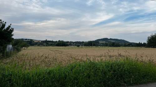 Działka z lasem w pobliżu - Beskidy