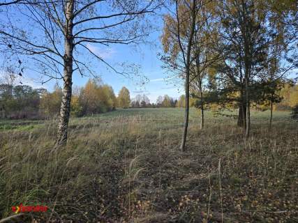 Wyczerpy 55 x 112m