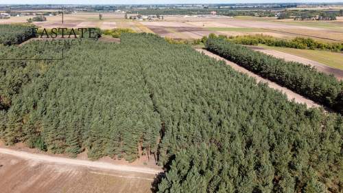 Działka leśno rolna o powierzchni 1.35ha