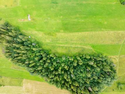 Działka na sprzedaż - Bukowina Tatrzańska