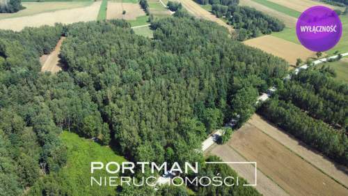 Działka w Dobrzyńcu 15 200 m2