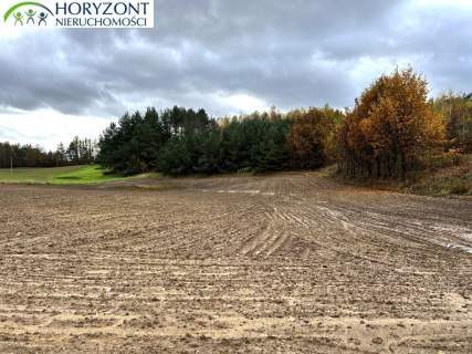 Mściszewice gm. Sulęczyno działka 1,42 ha