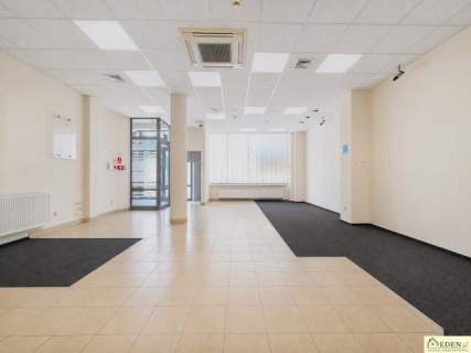 Wynajme dwa lokale usługowo-handlowe w centrum miasta Łuków