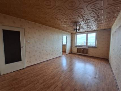 na wynajem lub start CZELADŹ, UL. OGRODOWA 4