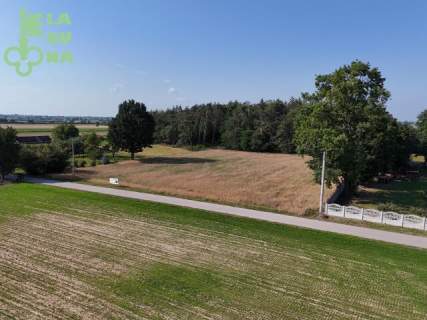 Działka budowlana w otulinie lasu i pól 3488 m2