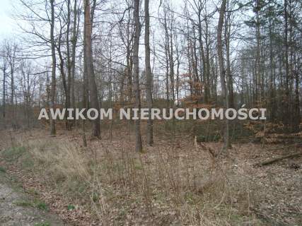 Działka budowlana na sprzedaż, 2500 m2, Many