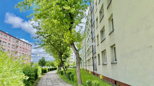 3 POKOJE I DO REMONTU I NISKIE KOSZTY I