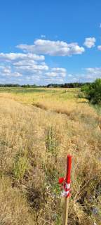 na sprzedaż 4 działki z war. zabudowy 7000 m2