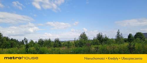 Grunty inwestycyjne 1,53 ha z WZ