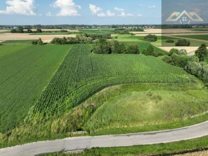 Działka rolna 80 arów w Miechowicach