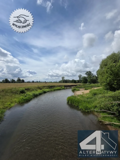 BORZYCHY DOM 250 M OD LIWCA 980 M DZIAŁKI