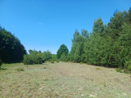 Działka 7656 m2