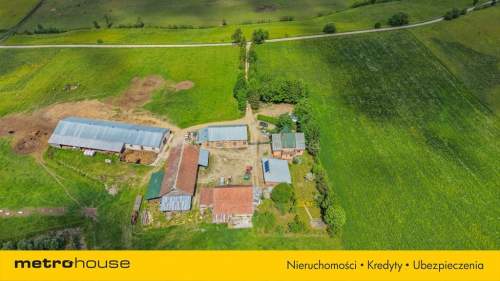 Gospodarstwo 29,4 ha z maszynami i domem