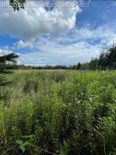 Wilanów, 1200 m2, WZ mieszkaniowa, jednorodzinna