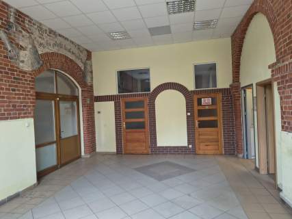 Lokal użytkowy do wynajęcia, 320 m2, Świdnica