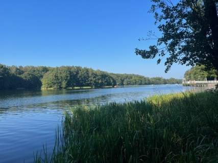 Ładna działka blisko jeziora koło Kolbud